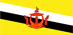 Bandiera Brunei - Mobile