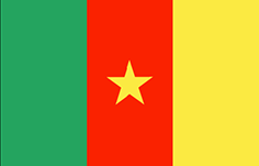 Bandiera Camerun - Mobile