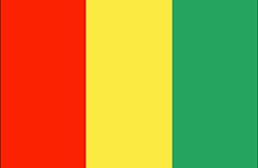 Bandiera Guinea - Mobile Orange