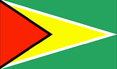 Bandiera Guyana - Mobile
