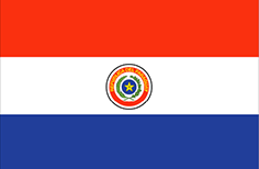Bandiera Paraguay - Mobile Personal