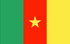 Bandiera Camerun - Chiamate internazionali SpeedyVoice