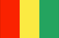 Bandiera Guinea - Mobile - Chiamate internazionali SpeedyVoice