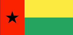 Bandiera Guinea Bissau - Special Services