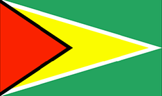 Bandiera Guyana - Mobile Others - Chiamate internazionali SpeedyVoice