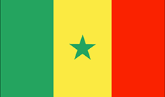 Bandiera Senegal - Mobile Others