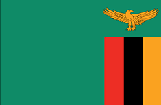 Bandiera Zambia